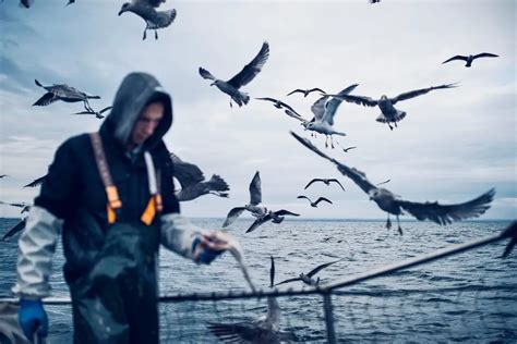 fish and wildlife defense attorney|Department of Fish and Wildlife License Defense Lawyer.